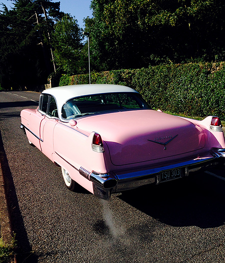 Pink Cadillac - Rear shot
